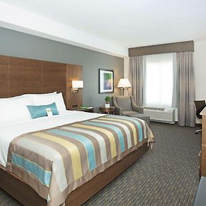 King Room Pet Friendly or Non-Smoking